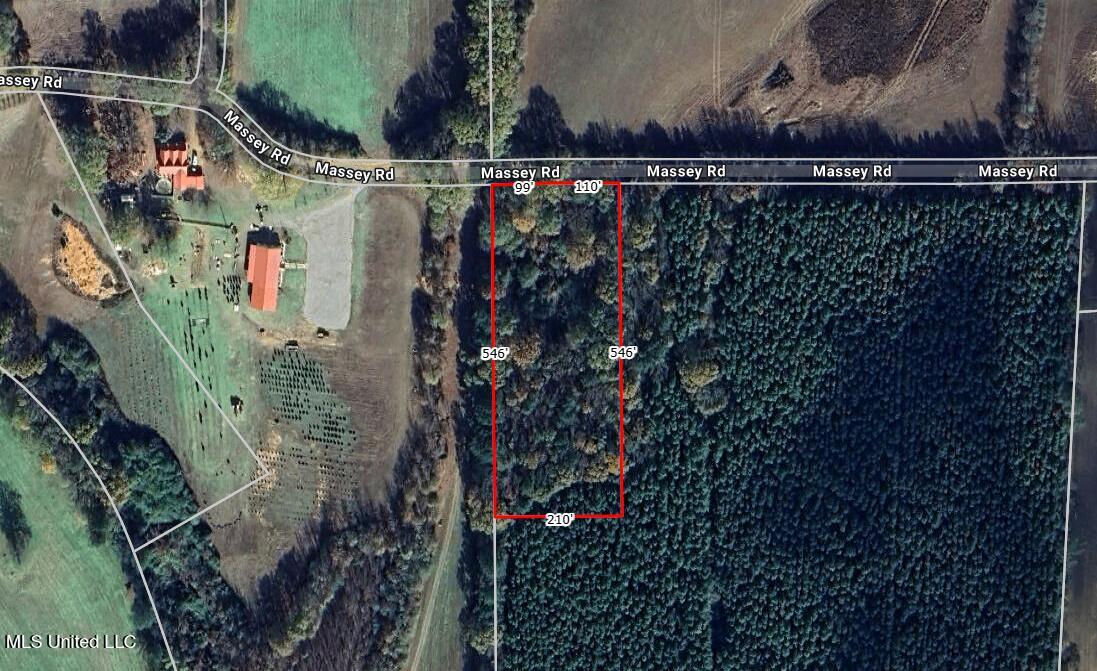 Massey Road Kosciusko, MS 39090 - Photo 20 of 20 Screenshot (193)