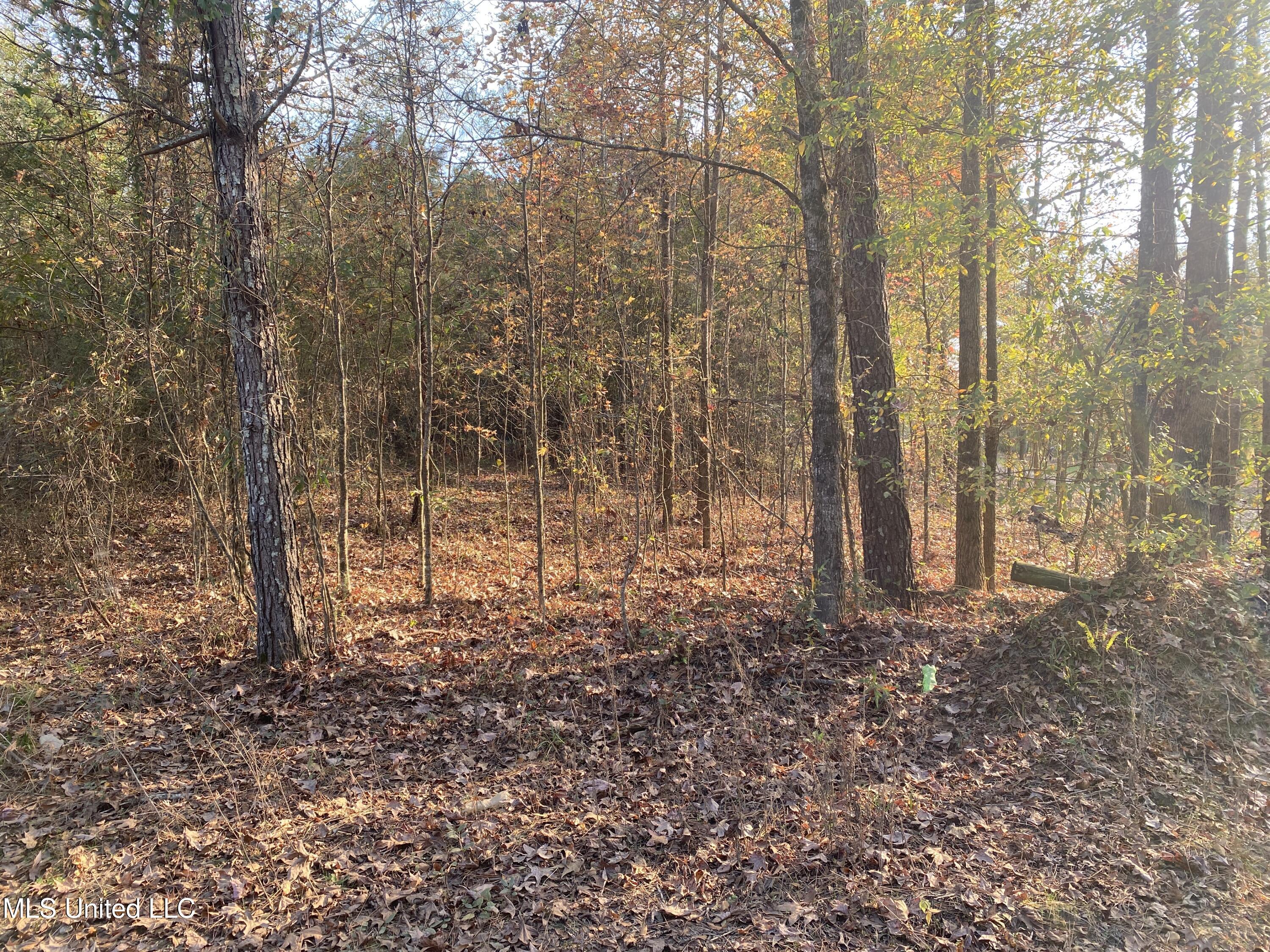 Massey Road Kosciusko, MS 39090 - Photo 2 of 20 IMG_1221