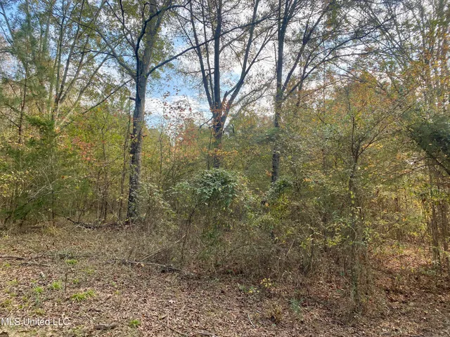 $18,000 | Massey Road, Kosciusko, MS 39090