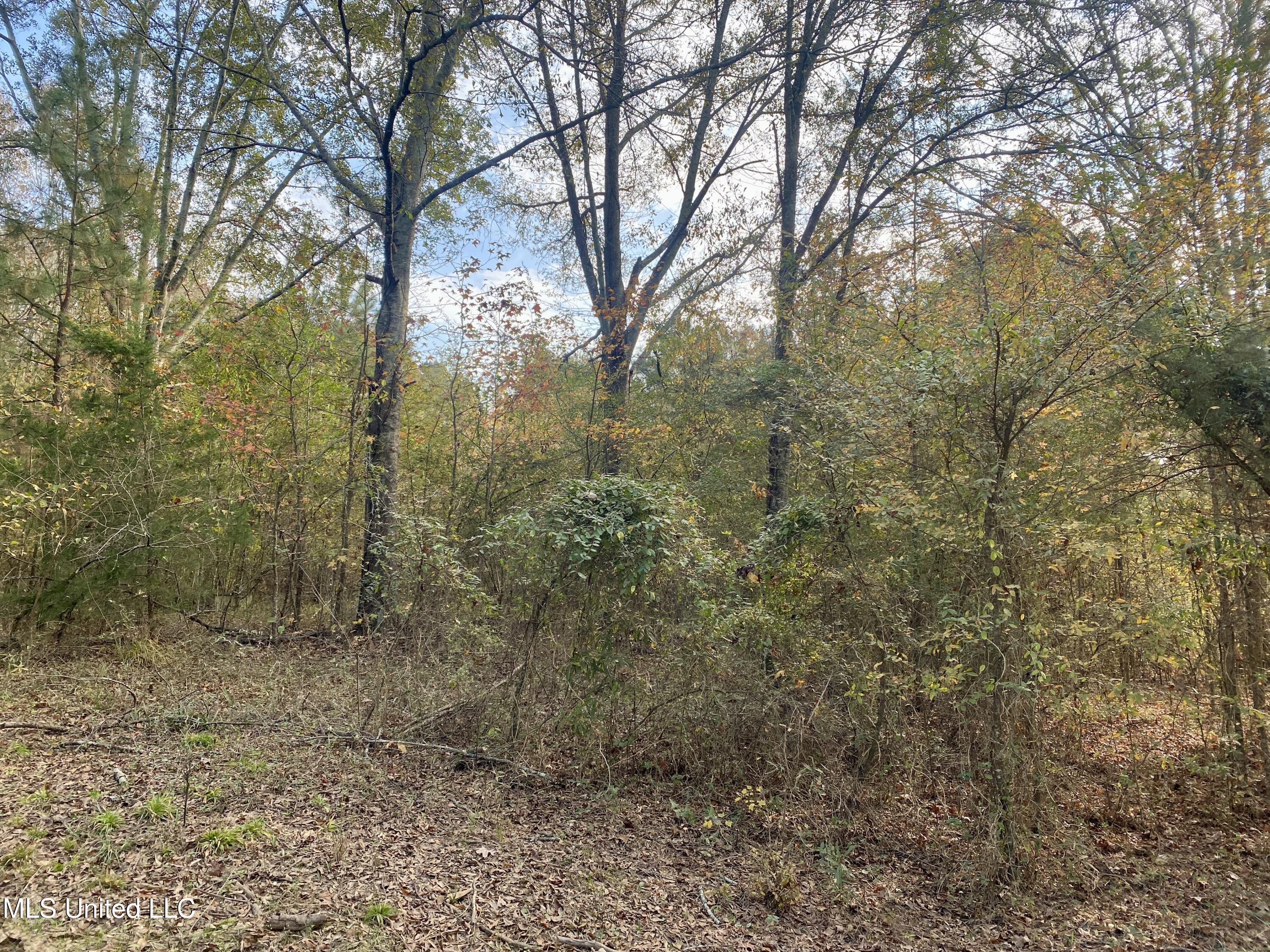 Massey Road Kosciusko, MS 39090 - Photo 3 of 20 IMG_1206