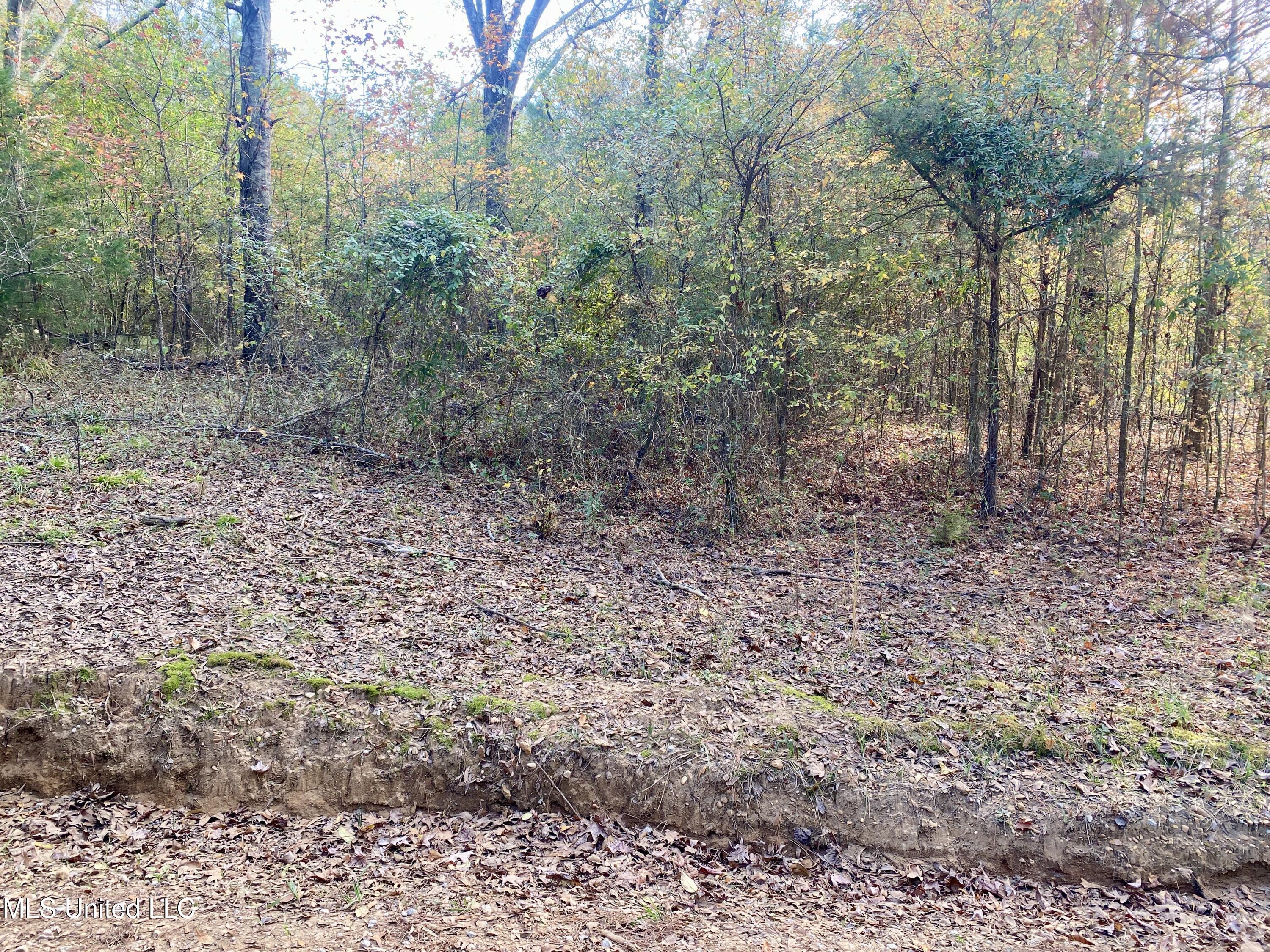 Massey Road Kosciusko, MS 39090 - Photo 4 of 20 IMG_1207