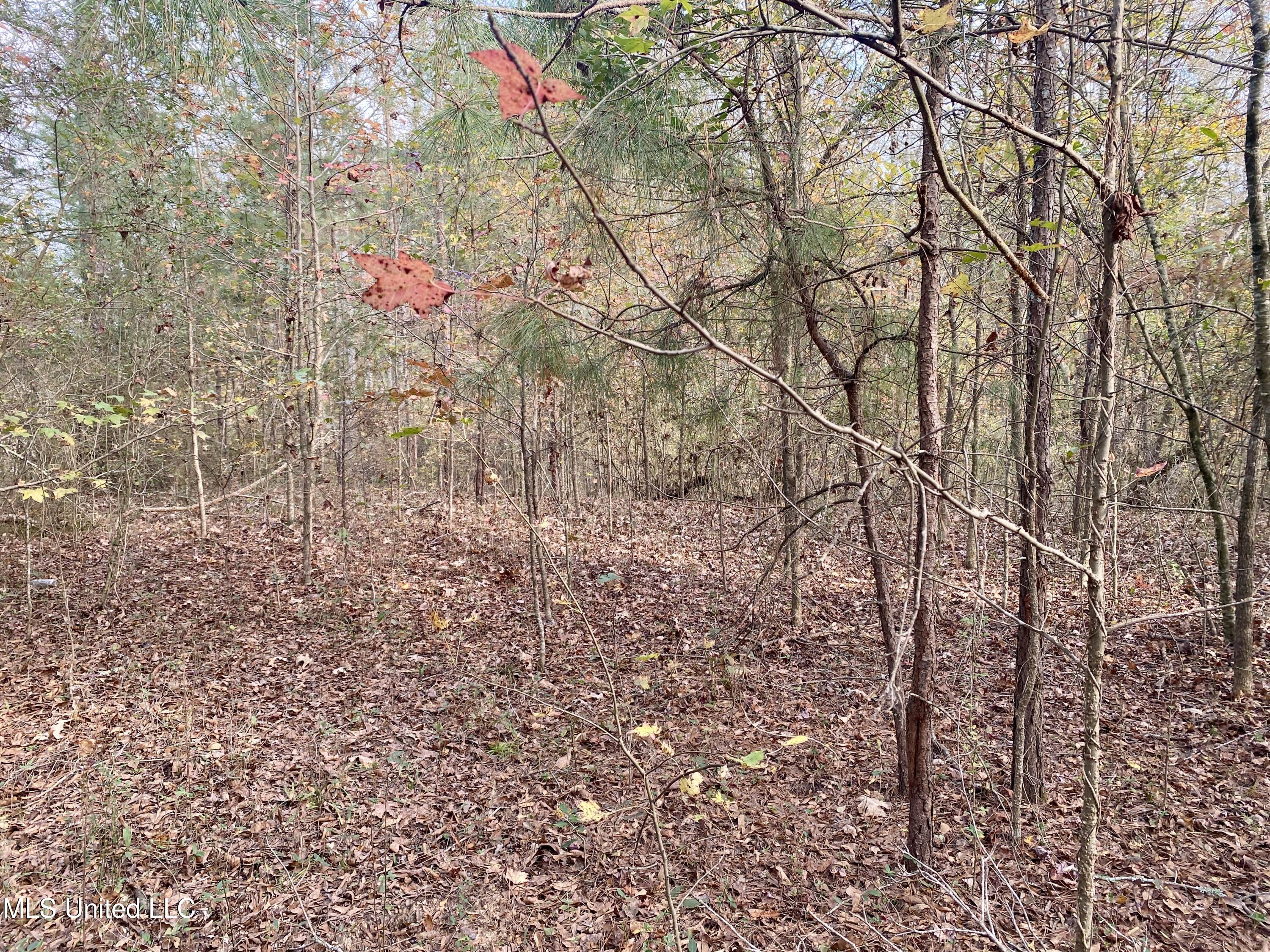 Massey Road Kosciusko, MS 39090 - Photo 5 of 20 IMG_1208