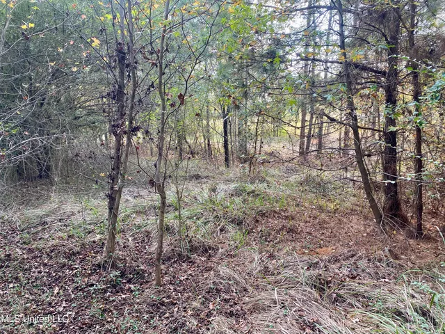 $18,000 | Massey Road, Kosciusko, MS 39090