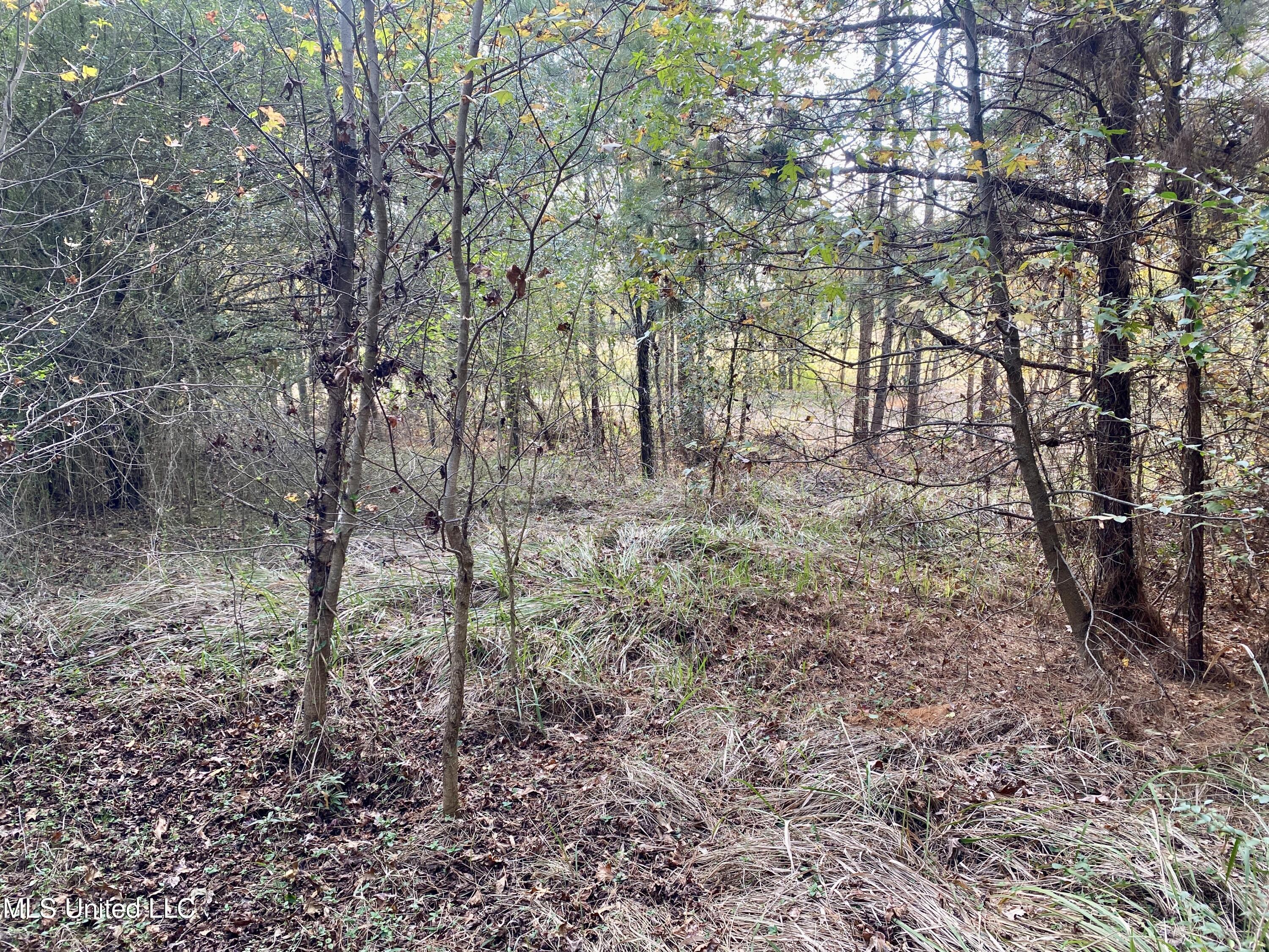 Massey Road Kosciusko, MS 39090 - Photo 6 of 20 IMG_1210