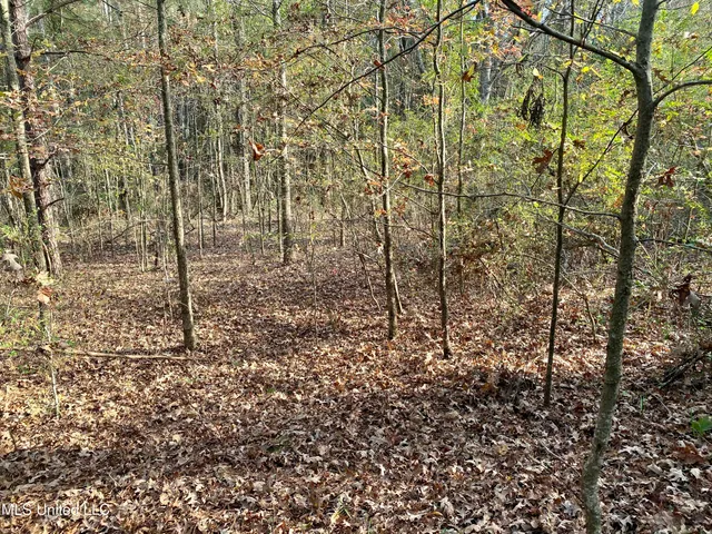 $18,000 | Massey Road, Kosciusko, MS 39090