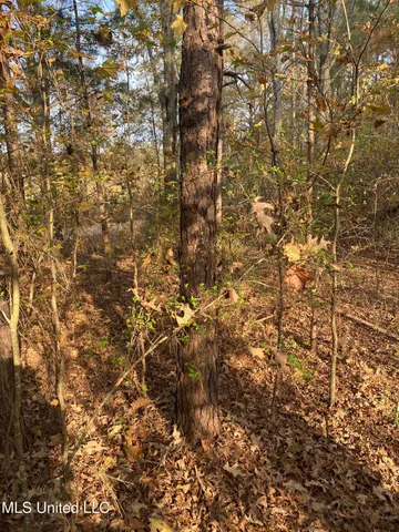 $18,000 | Massey Road, Kosciusko, MS 39090