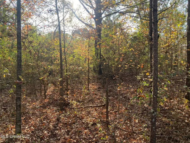 $18,000 | Massey Road, Kosciusko, MS 39090