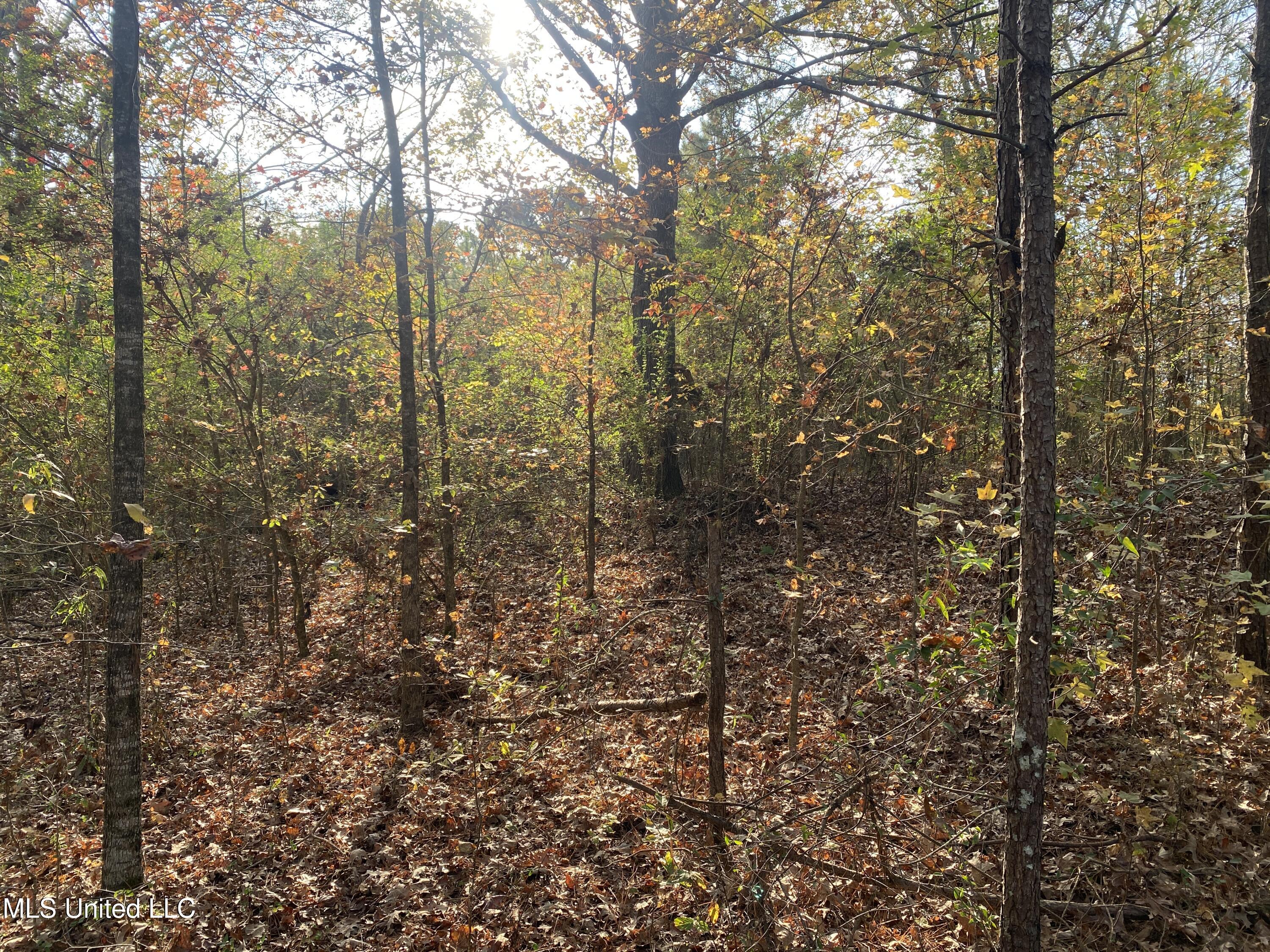 Massey Road Kosciusko, MS 39090 - Photo 10 of 20 IMG_1214