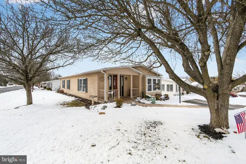 a white house that has a tree in front of it