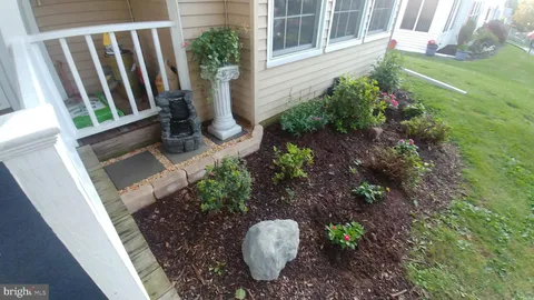 a view of a backyard with plants and a garden