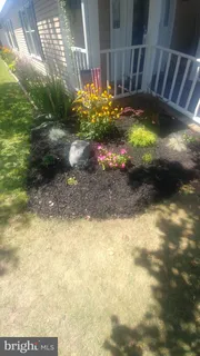 a view of a yard with plants