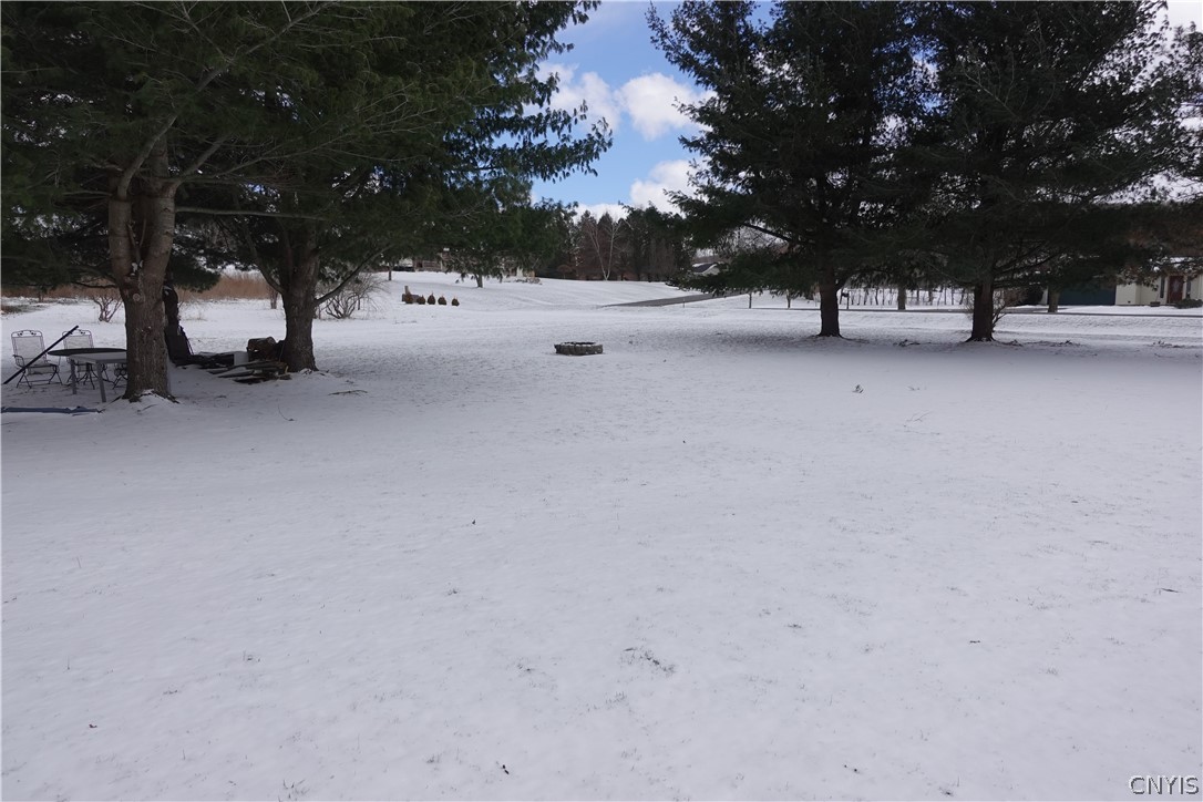 11 Yellow Barn Road Dryden, NY 13068 - Photo 27 of 30 Back Yard