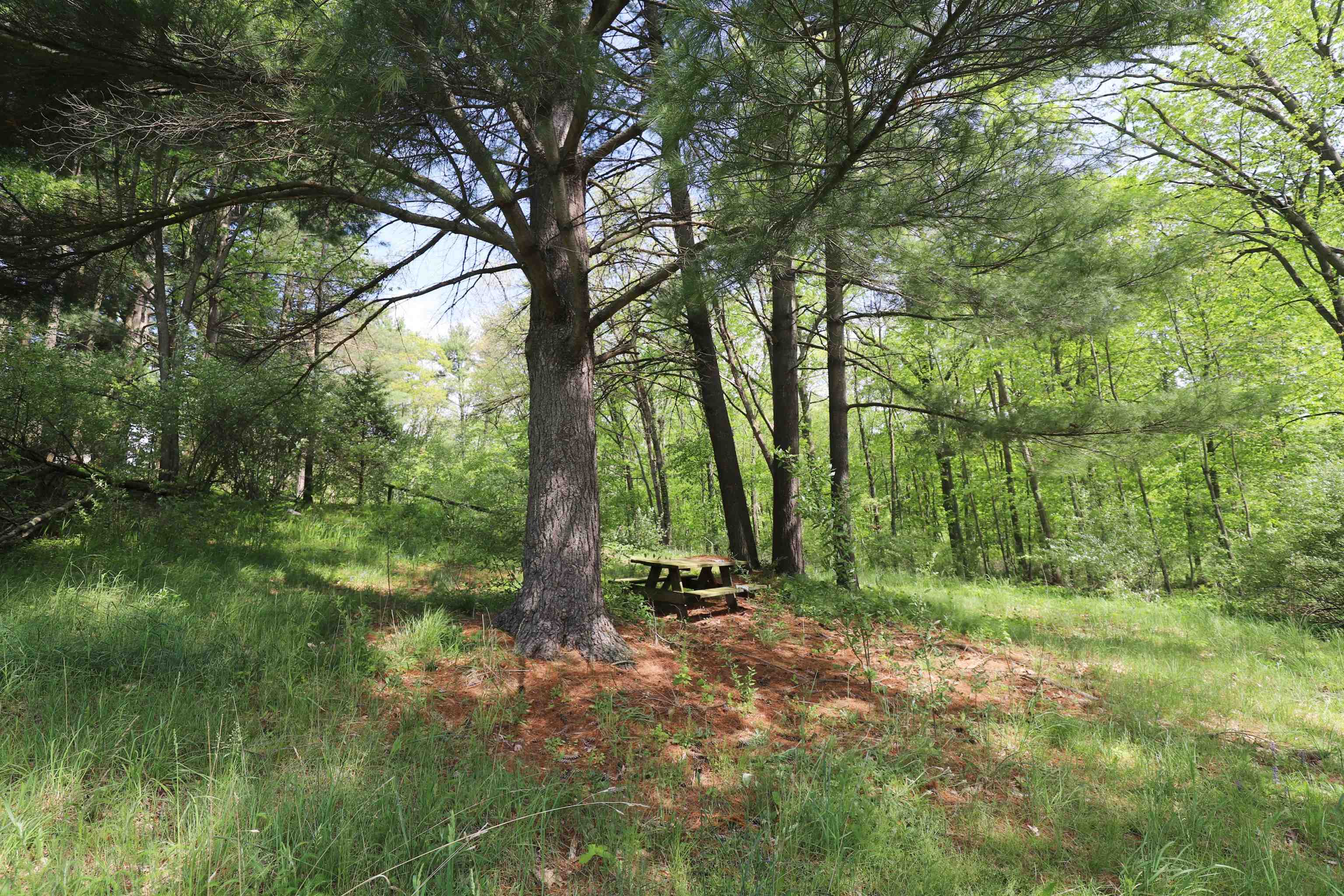 12215 Lillie Road Byron, MI 48418 - Photo 25 of 38