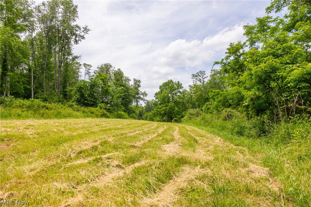 72645 Henderson Ridge Road St. Clairsville, OH 43950 - Photo 37 of 50