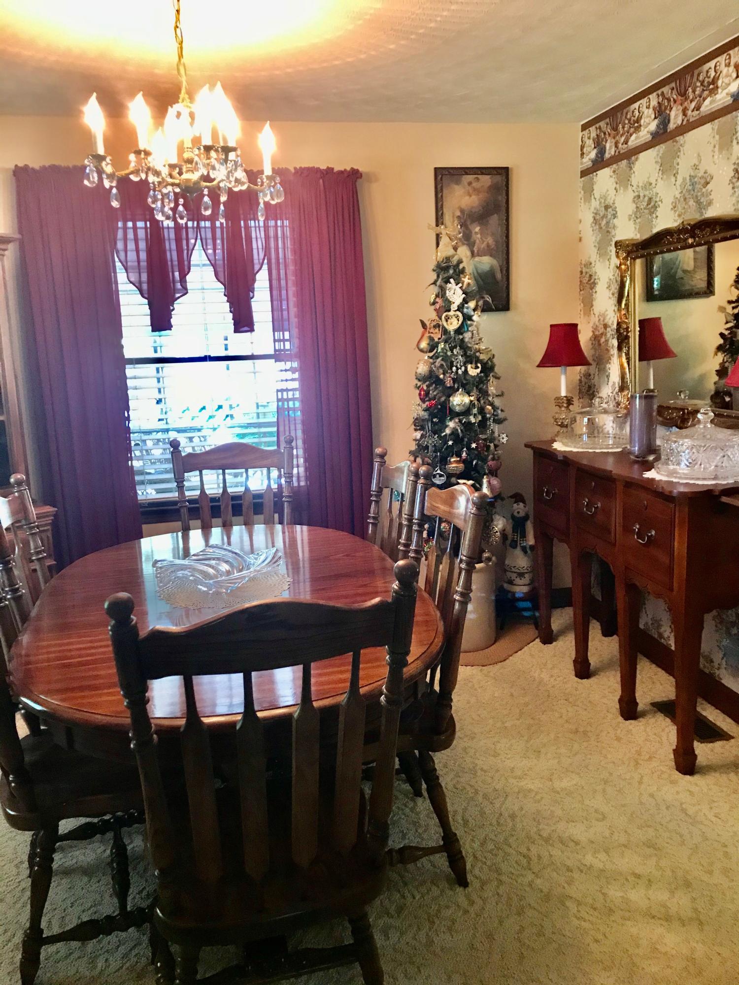 4025 Dungannon Road Coeburn, VA 24230 - Photo 11 of 25 FullSizeRender copy 8