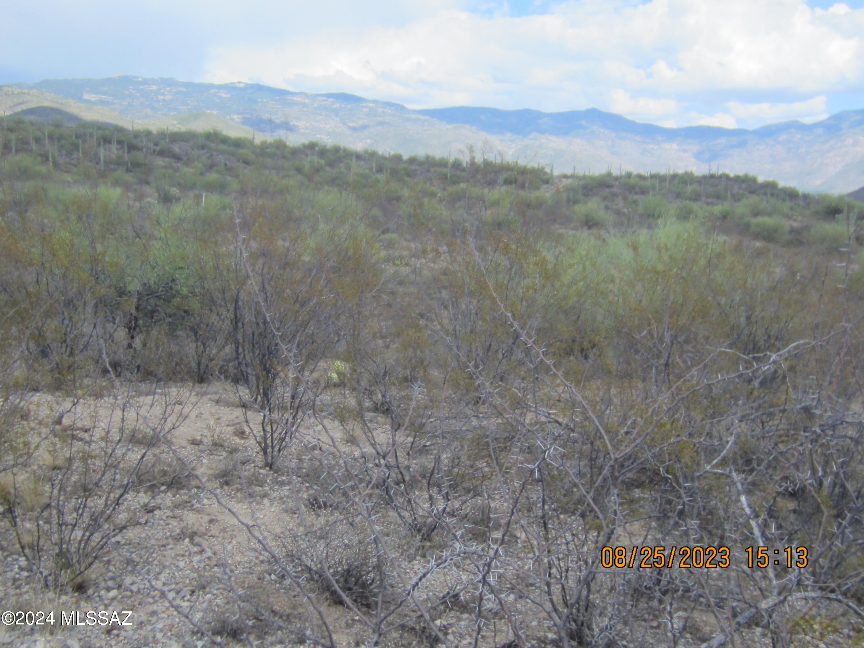 0 East Rincon Creek Ranch Road Tucson, AZ 85747 - Photo 12 of 46 Gallery Image 12