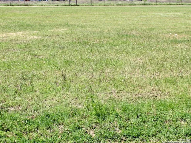 a view of a green field