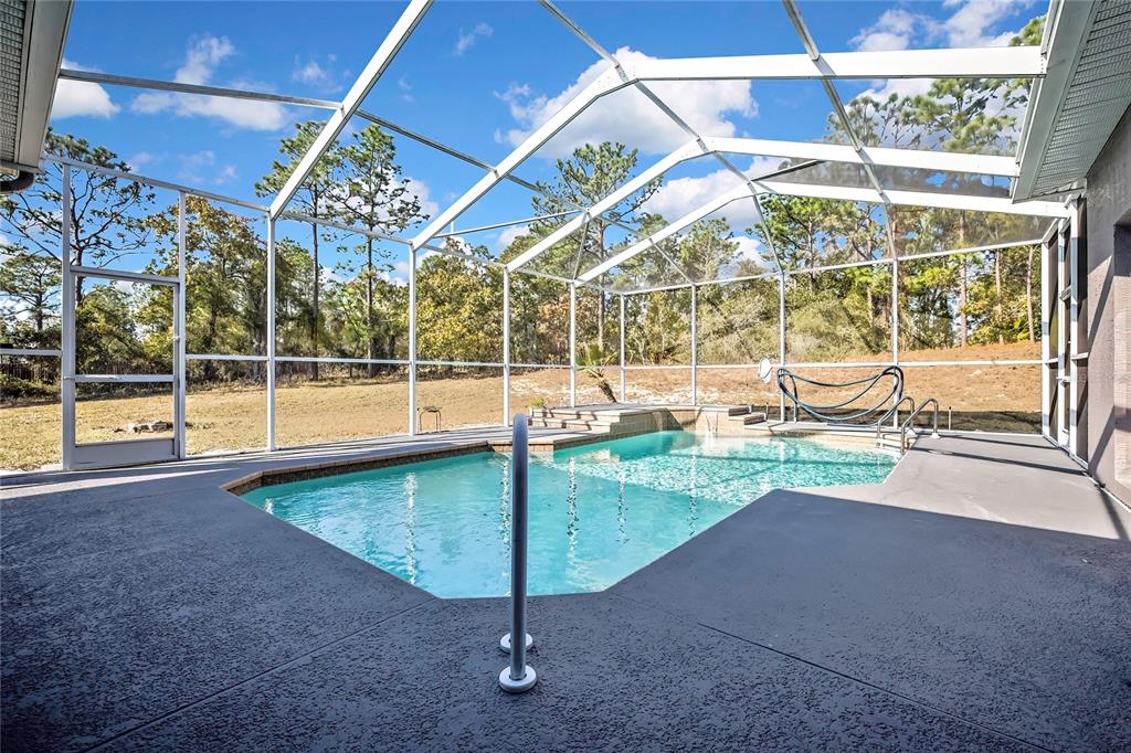 12403 Centennial Street Spring Hill, FL 34609 - Photo 50 of 62