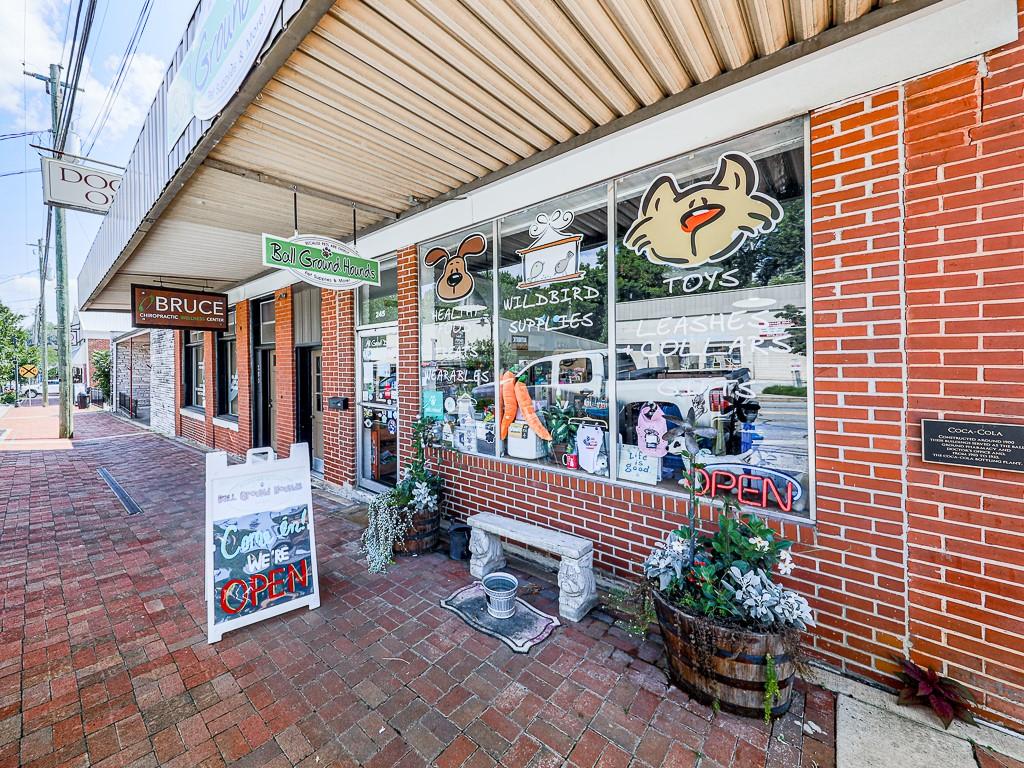 995 Old Canton Road Ball Ground, GA 30107 - Photo 65 of 82