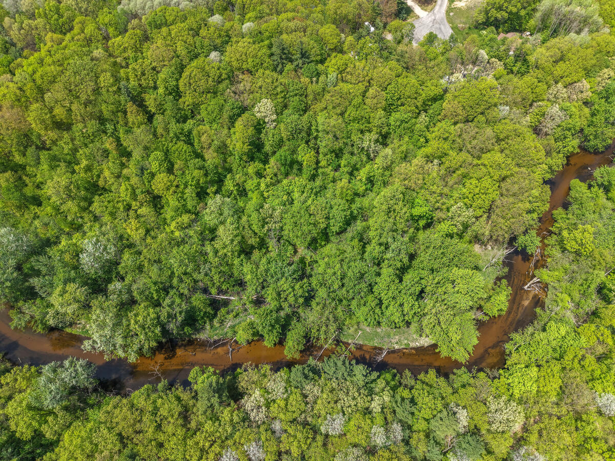West County Line Road Gowen, MI 49326 - Photo 4 of 26 11629-Crimson-Creek_210