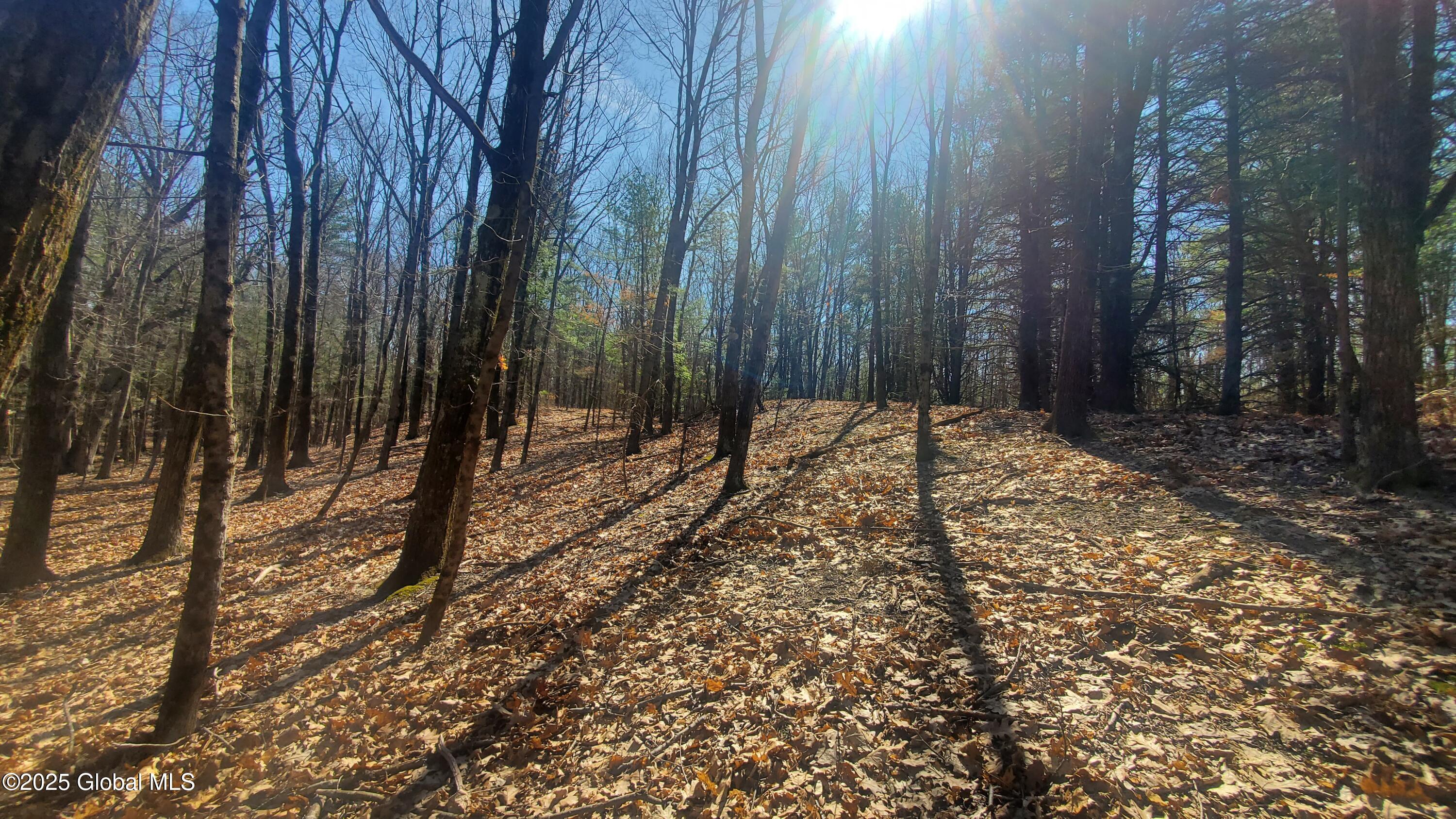 L25 Fischer Road Kinderhook, NY 12106 - Photo 28 of 30 WINTER VIEW