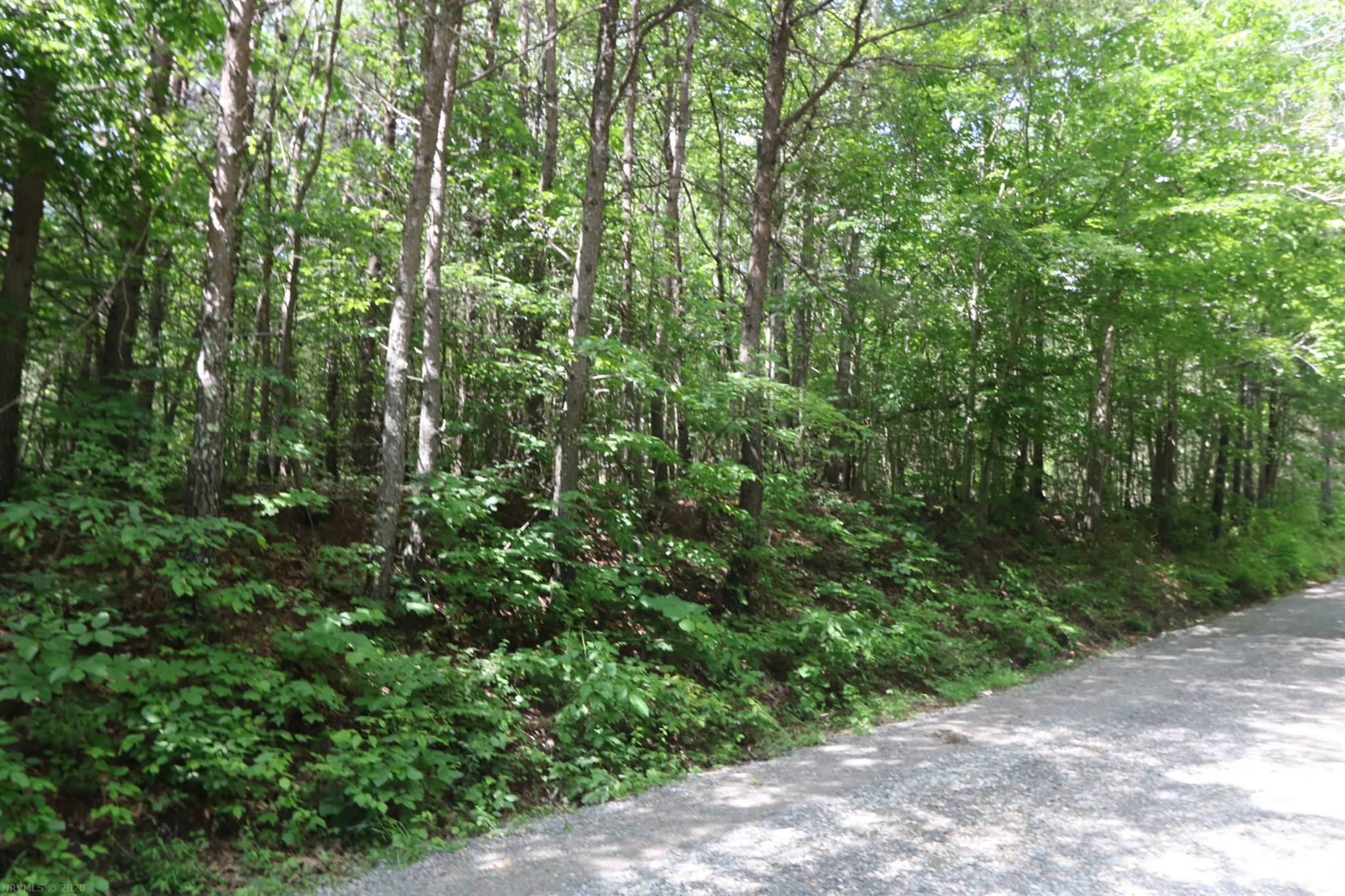 Tbd Carver Lee Road Ferrum, VA 24088 - Photo 11 of 11 Gallery Image 11