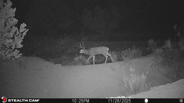123 Tbd Forest Service Rd 640a (s Salina, UT 84654 - Photo 11 of 69 Exterior view
