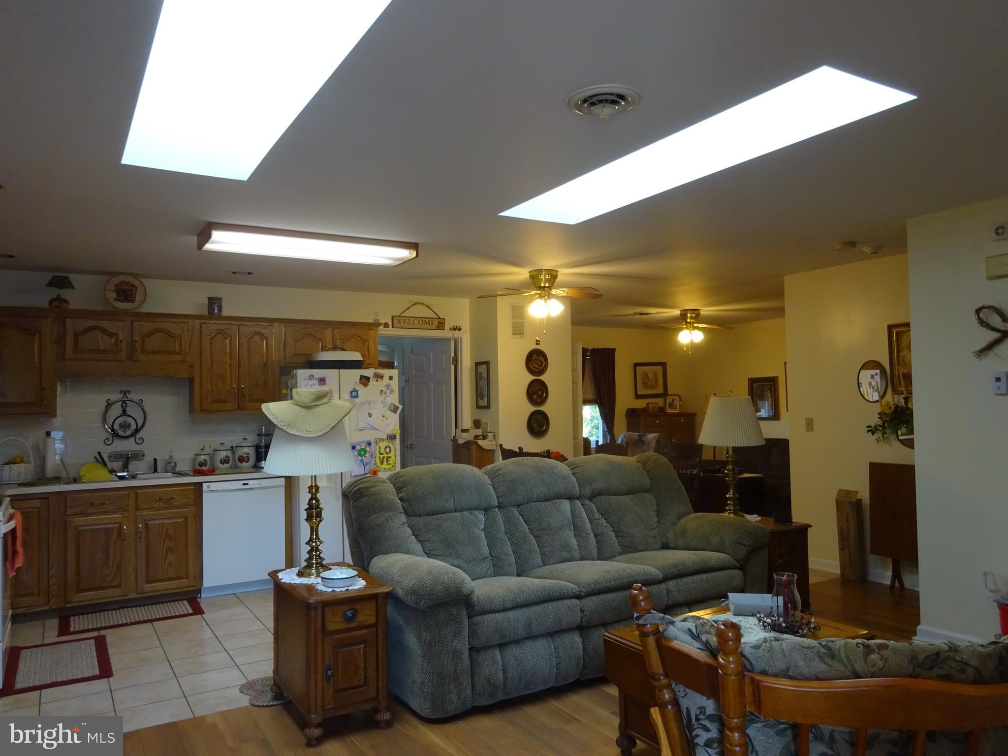 Living Room with Skylights