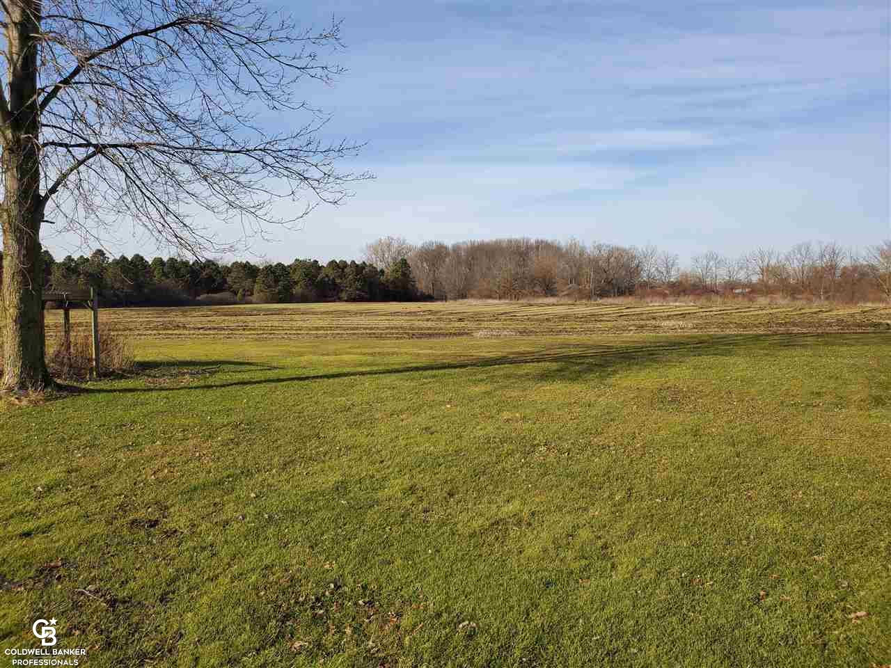 9290 Hill Road Goodells, MI 48027 - Photo 27 of 34 View of Woods