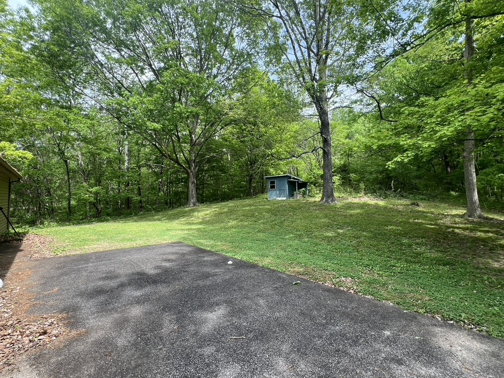 1860 Garrison Branch Road Cottontown, TN 37048 - Photo 3 of 13 a view of a tree in a yard