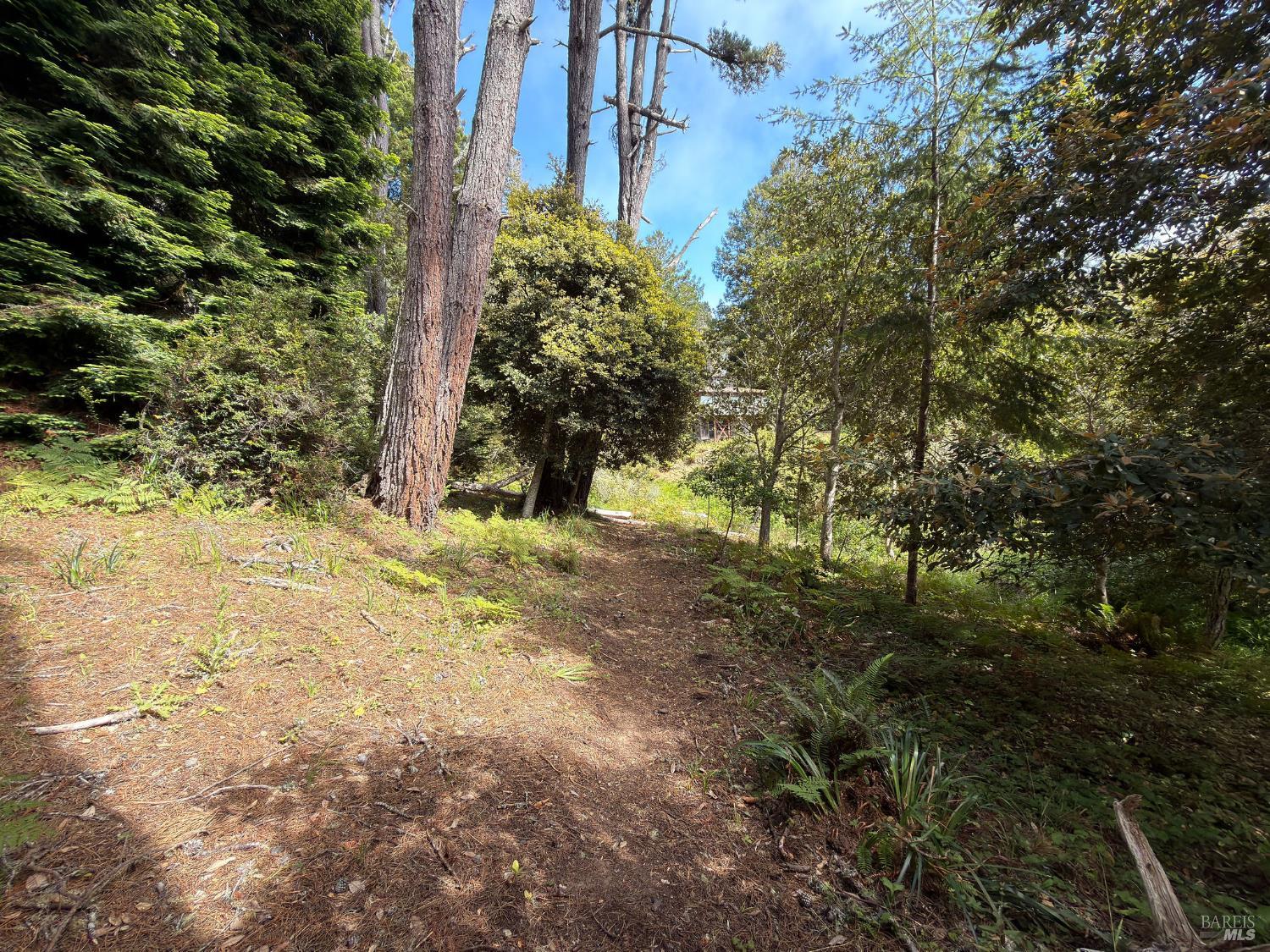 76 Compass Close The Sea Ranch, CA 95497 - Photo 6 of 29