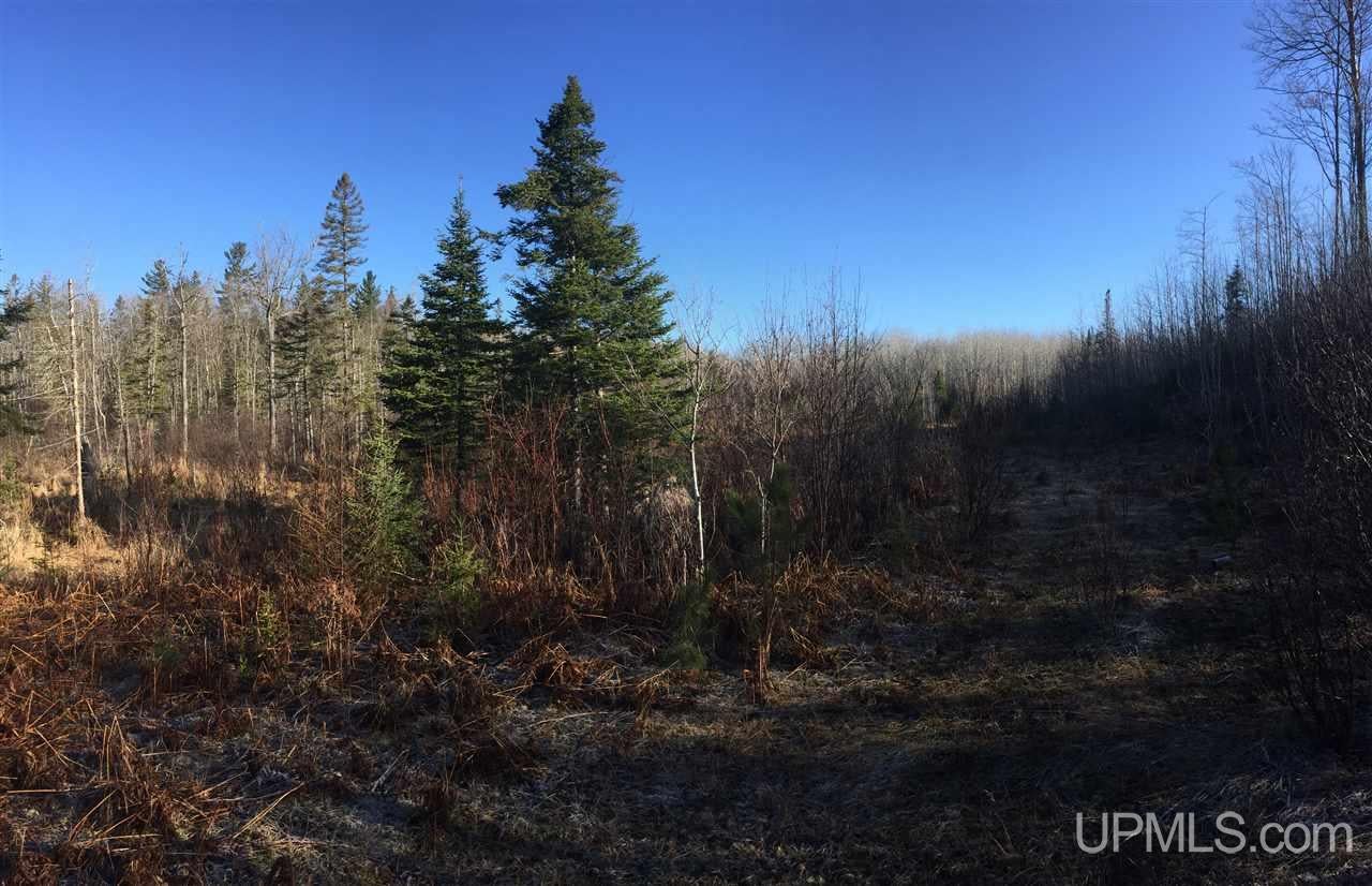 478 Rd Ishpeming Mi 49849 Road, Unit S80 Ishpeming, MI 49849 - Photo 10 of 18 Gallery Image 10