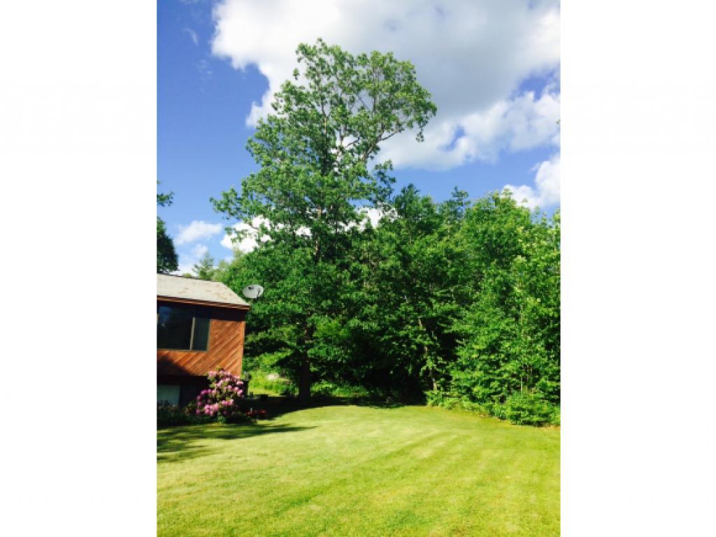 353 North Road Deerfield, NH 03037 - Photo 5 of 23 Gallery Image 5