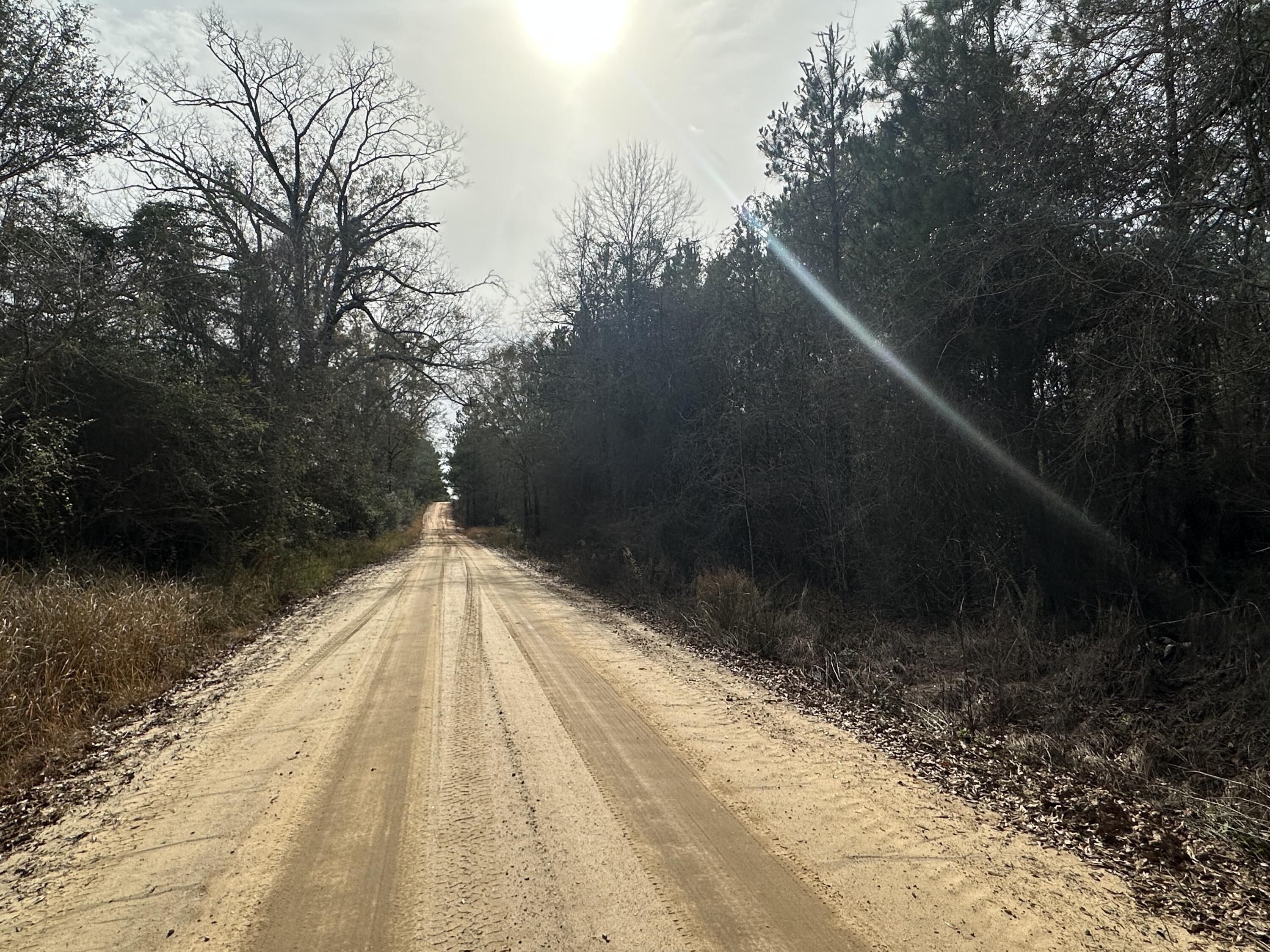 Tract#6301 Southwest Love Road Bonifay, FL 32425 - Photo 7 of 7