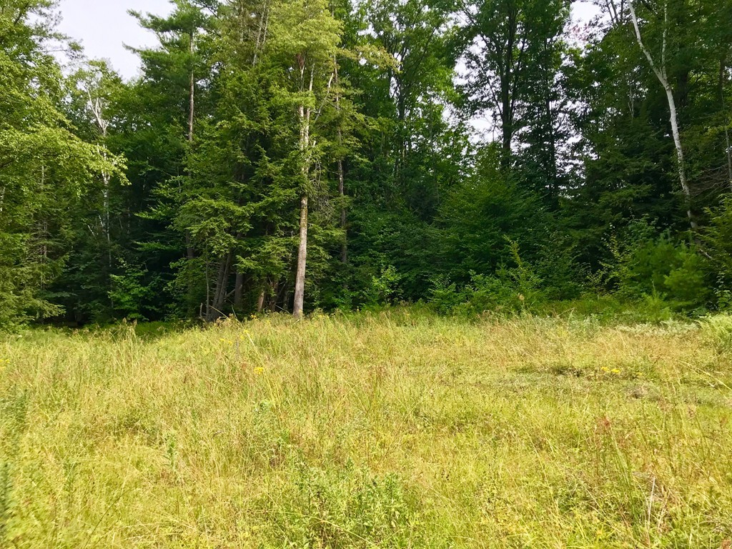 0 Ford Hill Road Rowe, MA 01367 - Photo 2 of 8 Gallery Image 2