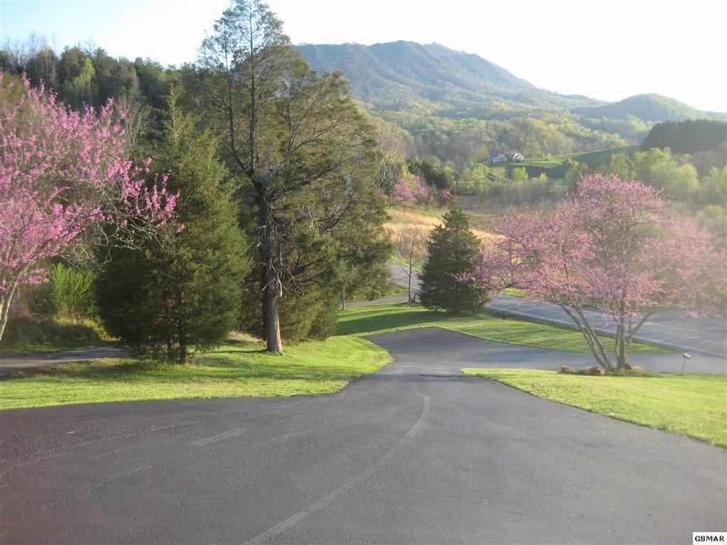 831 Goose Gap Road Sevierville, TN 37876 - Photo 21 of 36 GSMAOR203306T - 21
