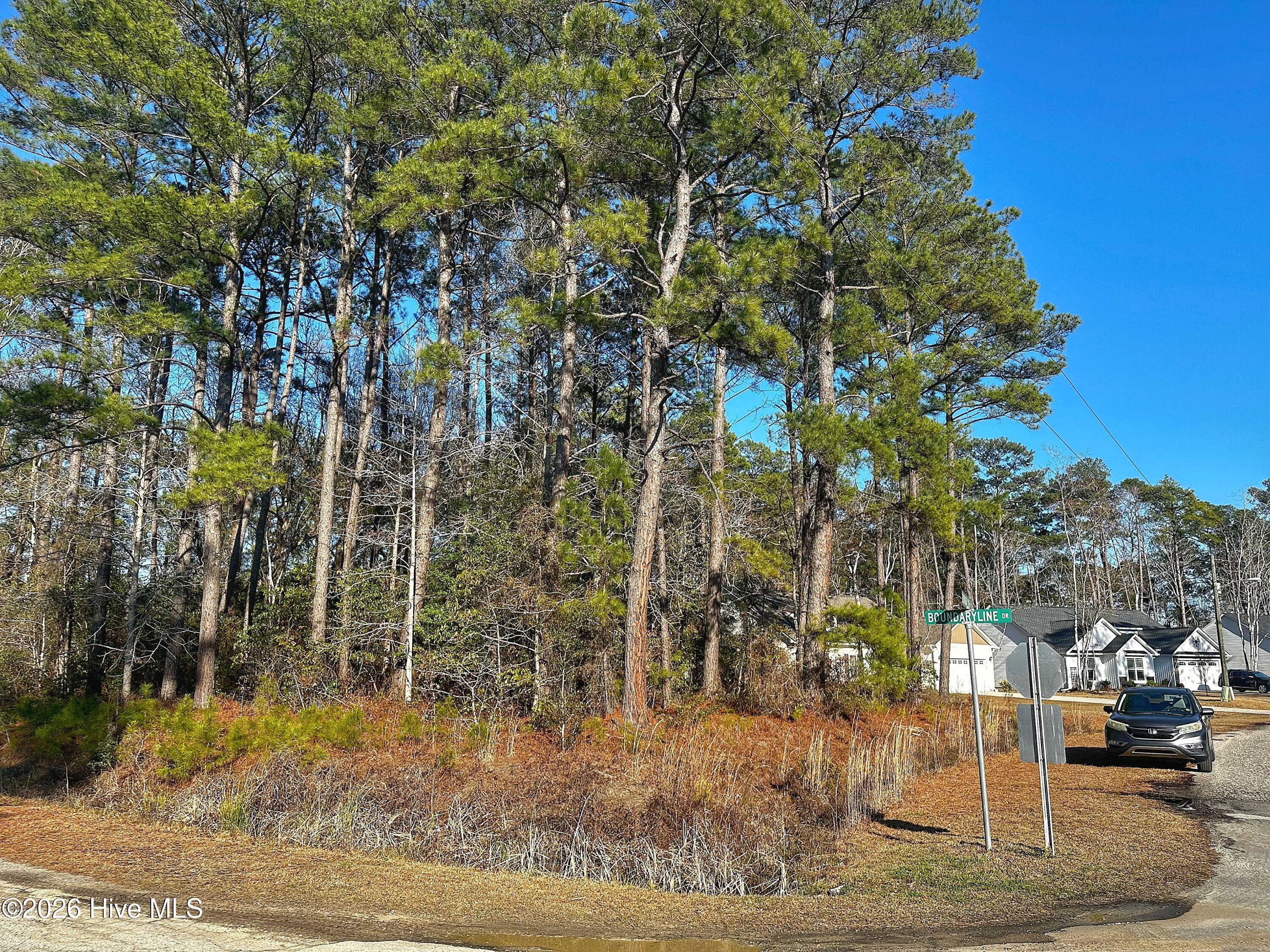 714 Boundary Loop Road Northwest Calabash, NC 28467 - Photo 4 of 6 714 Boundary Loop Road NW