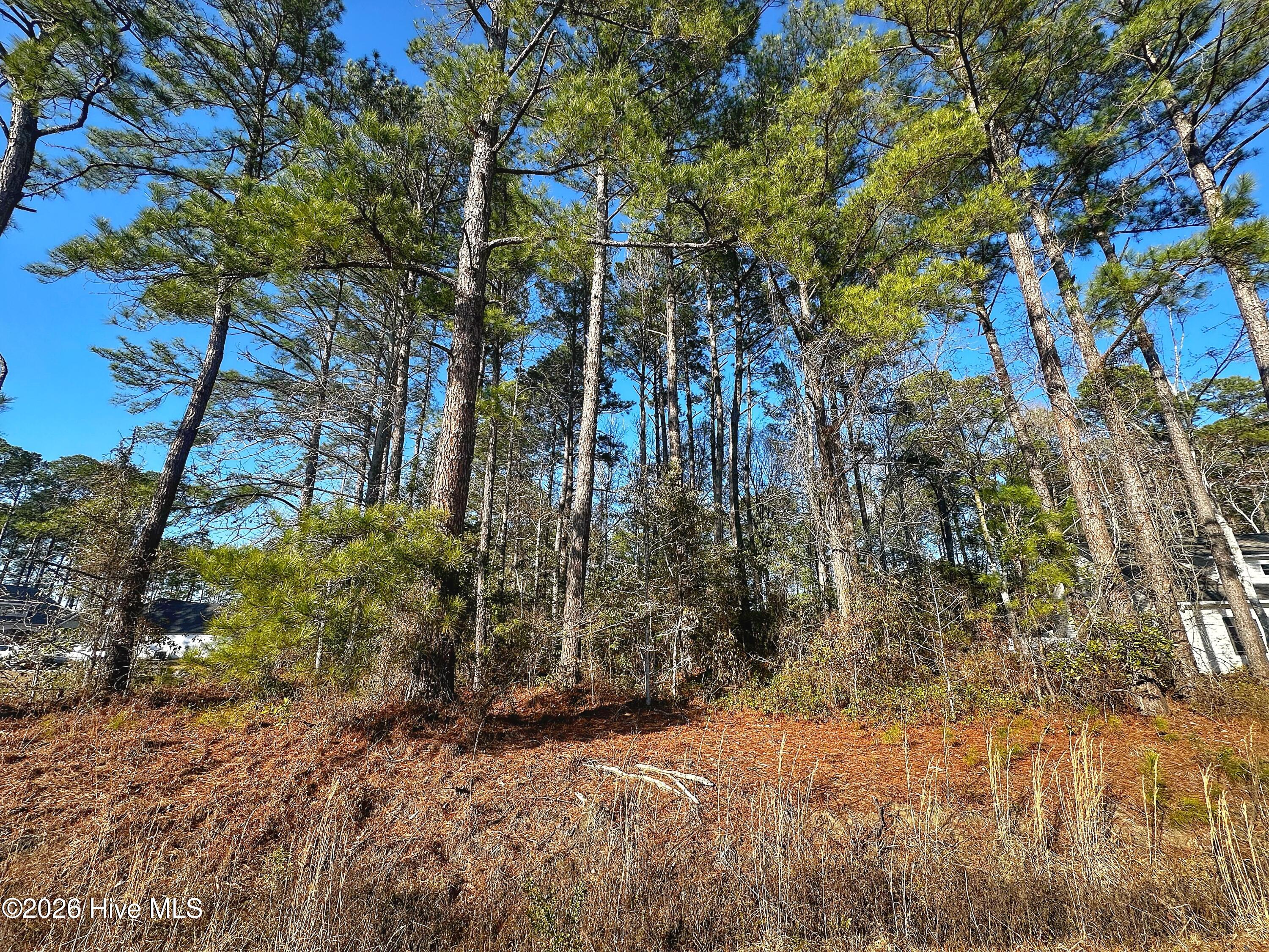 714 Boundary Loop Road Northwest Calabash, NC 28467 - Photo 6 of 6 714 Boundary Loop Road NW