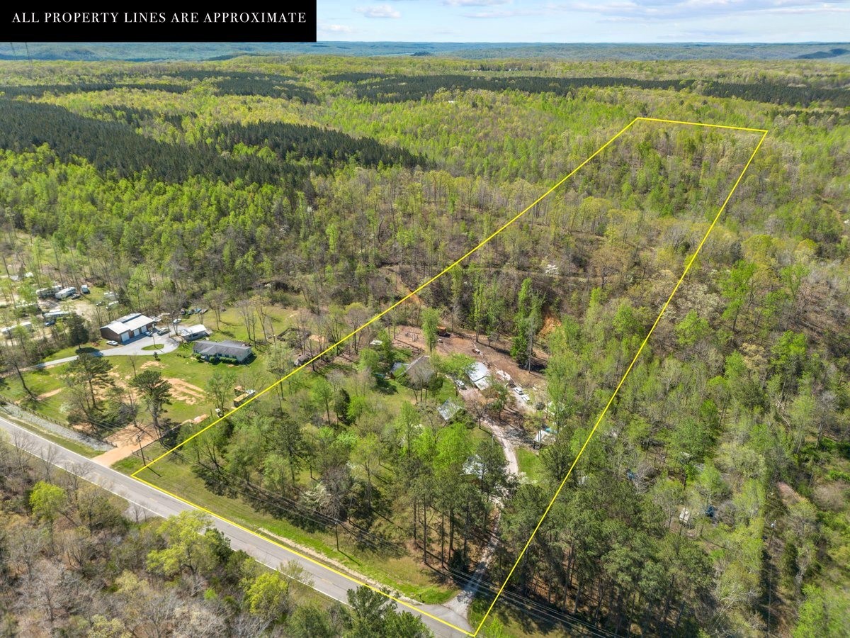 13631 Birdsong Road Holladay, TN 38341 - Photo 47 of 67 a view of a yard with an outdoor space