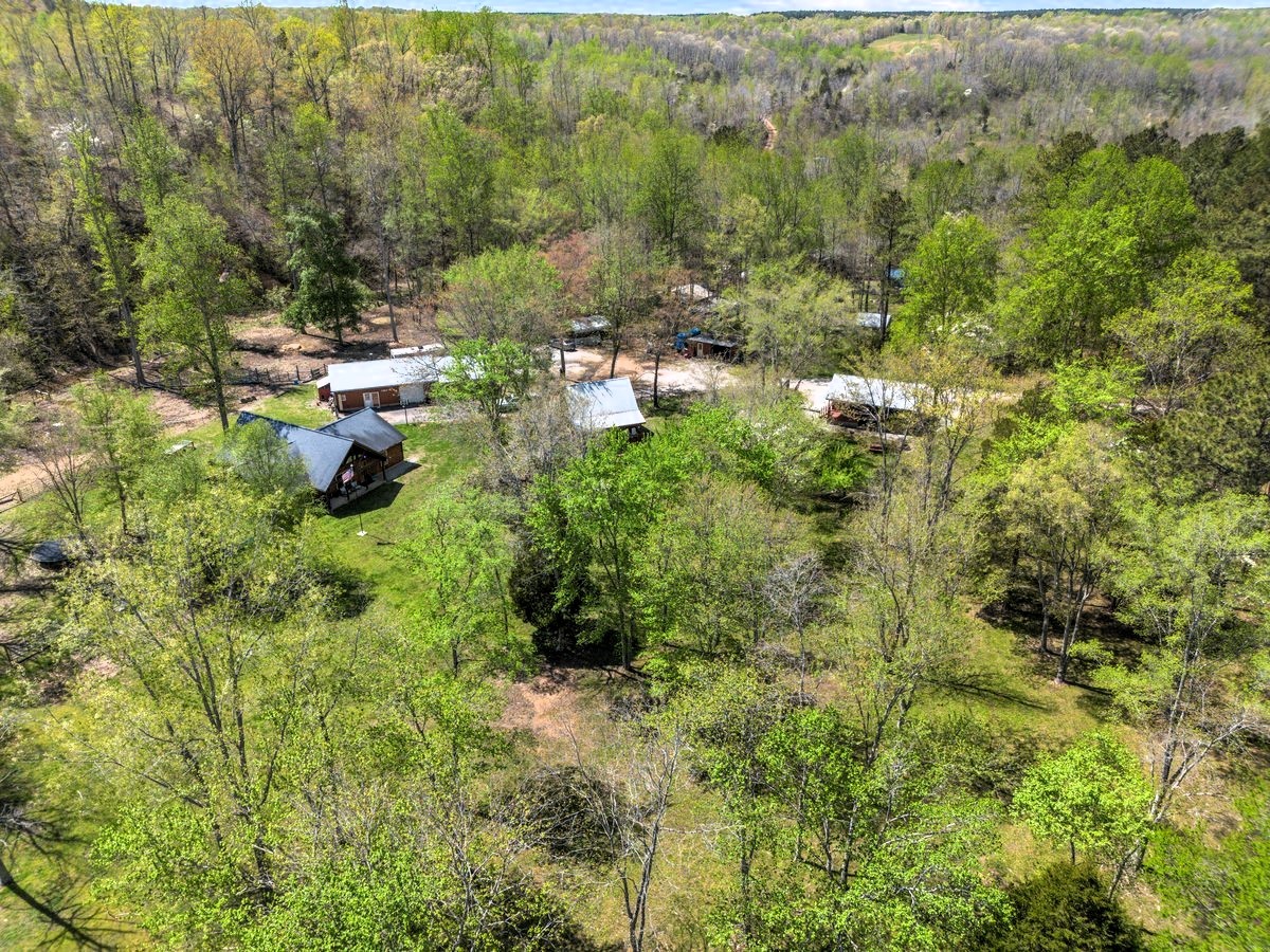 13631 Birdsong Road Holladay, TN 38341 - Photo 48 of 67 a view of yard with green space