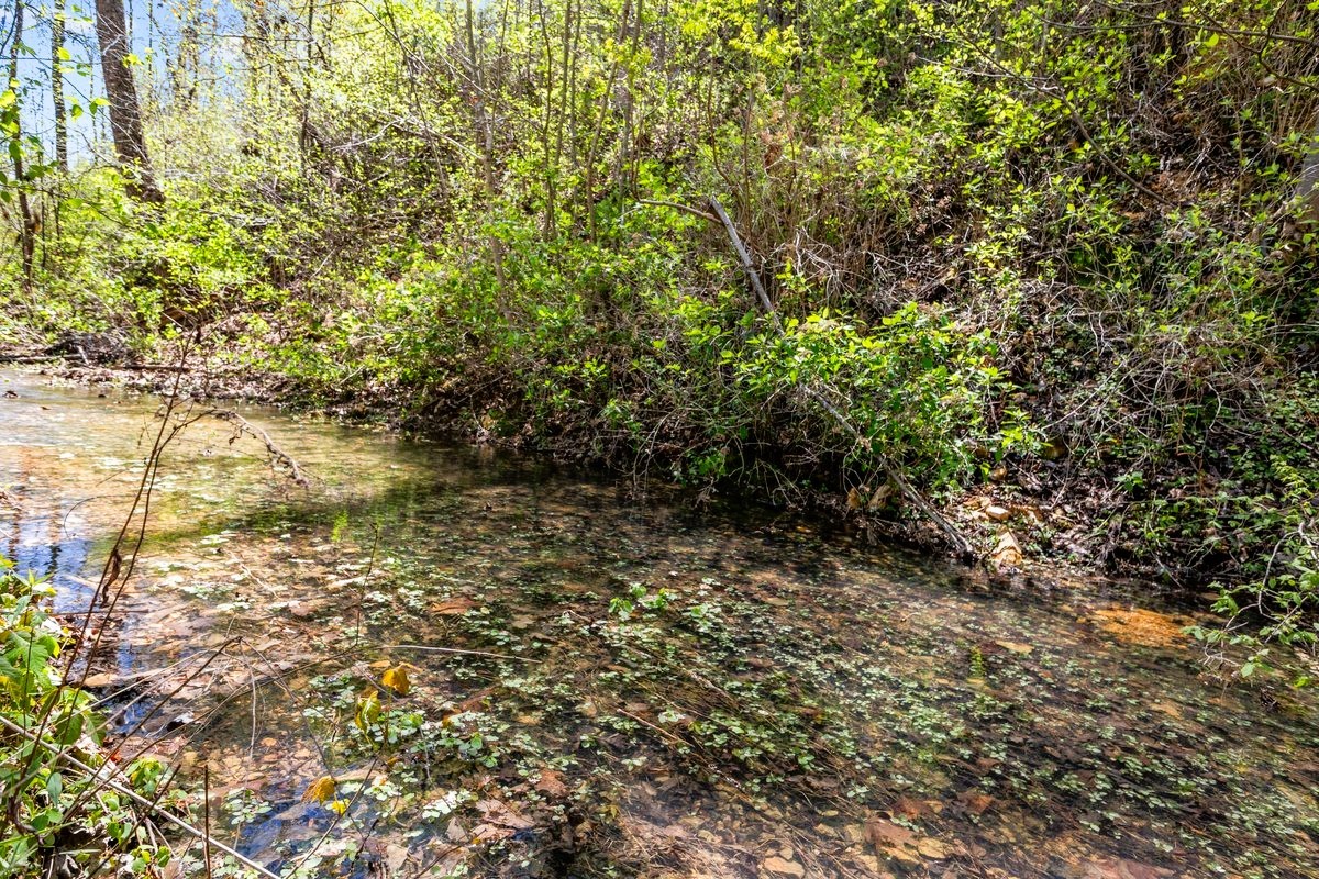 13631 Birdsong Road Holladay, TN 38341 - Photo 10 of 67 a view of a lake view