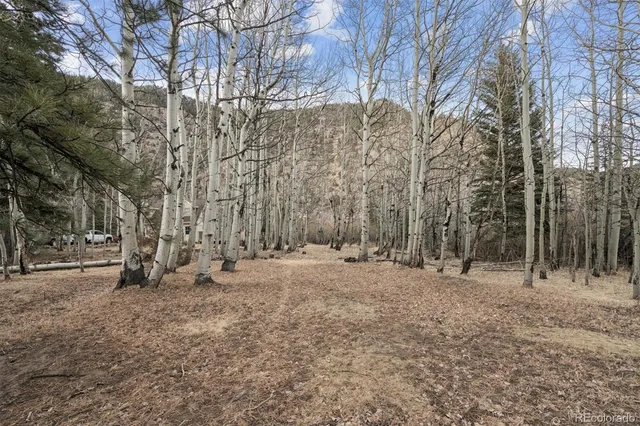 a view of a lake with a mountain in the background