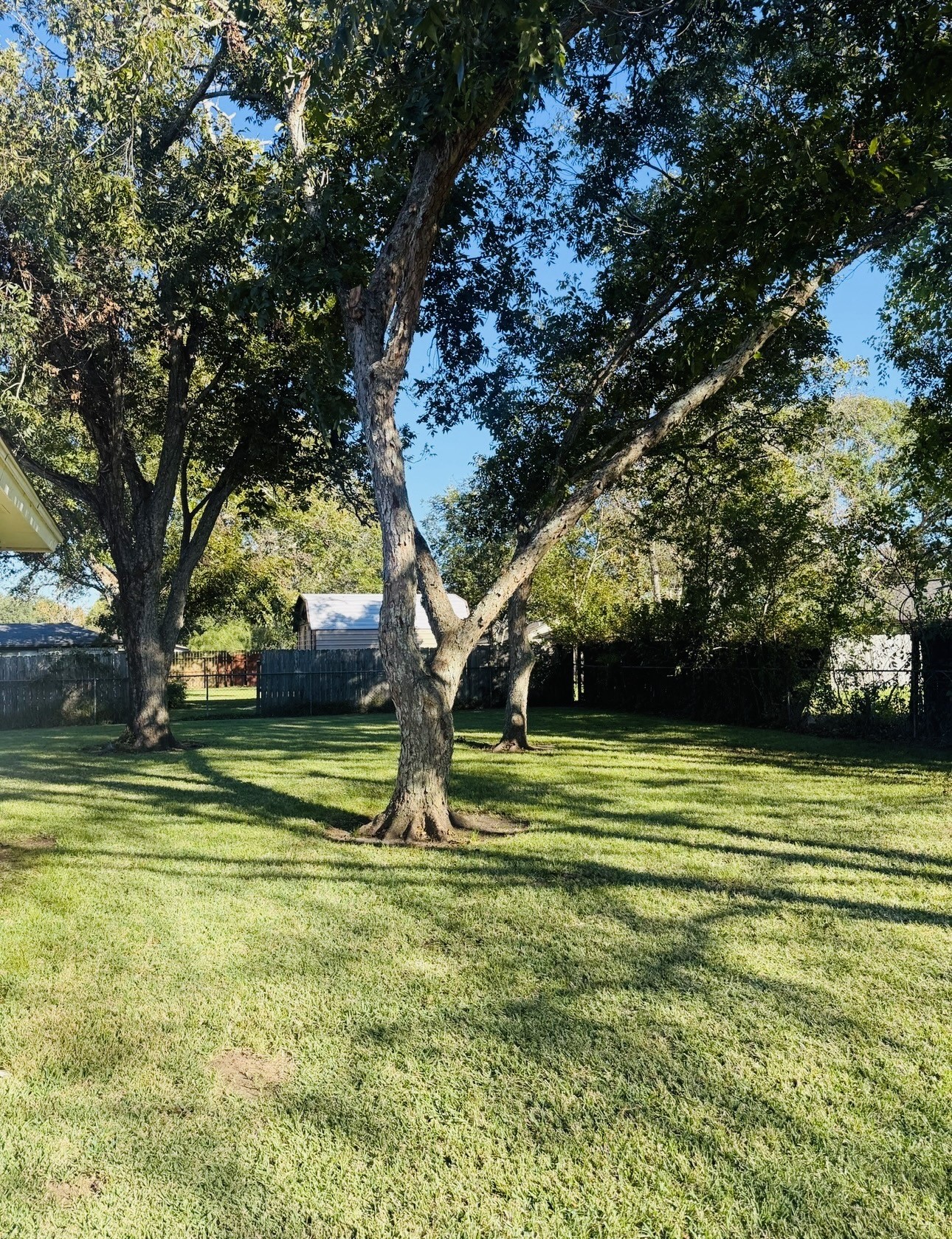 1457 Camellia Street Sweeny, TX 77480 - Photo 25 of 26