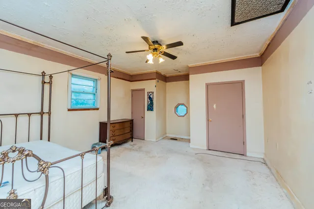 a view of a backyard with large trees