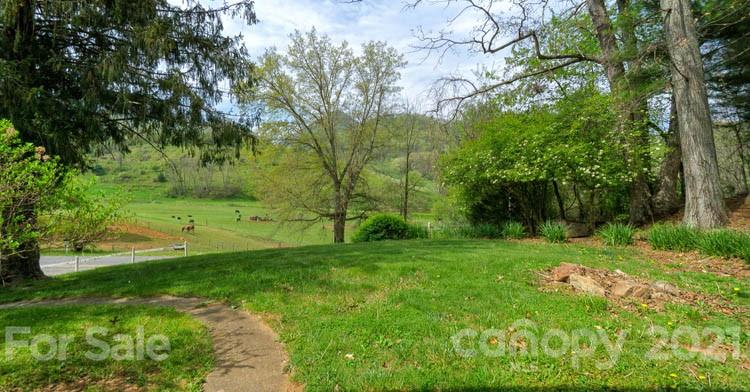 4900 Crabtree Mountain Road Clyde, NC 28721 - Photo 23 of 33 a view of a garden with a tree