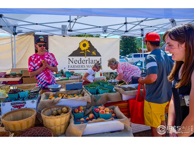 $149,000 | 71 Pinecliff Trail, Nederland, CO 80466