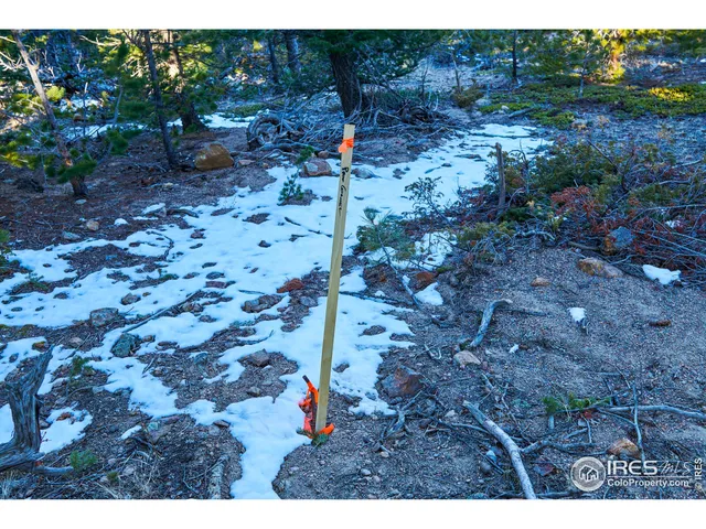 $149,000 | 71 Pinecliff Trail, Nederland, CO 80466