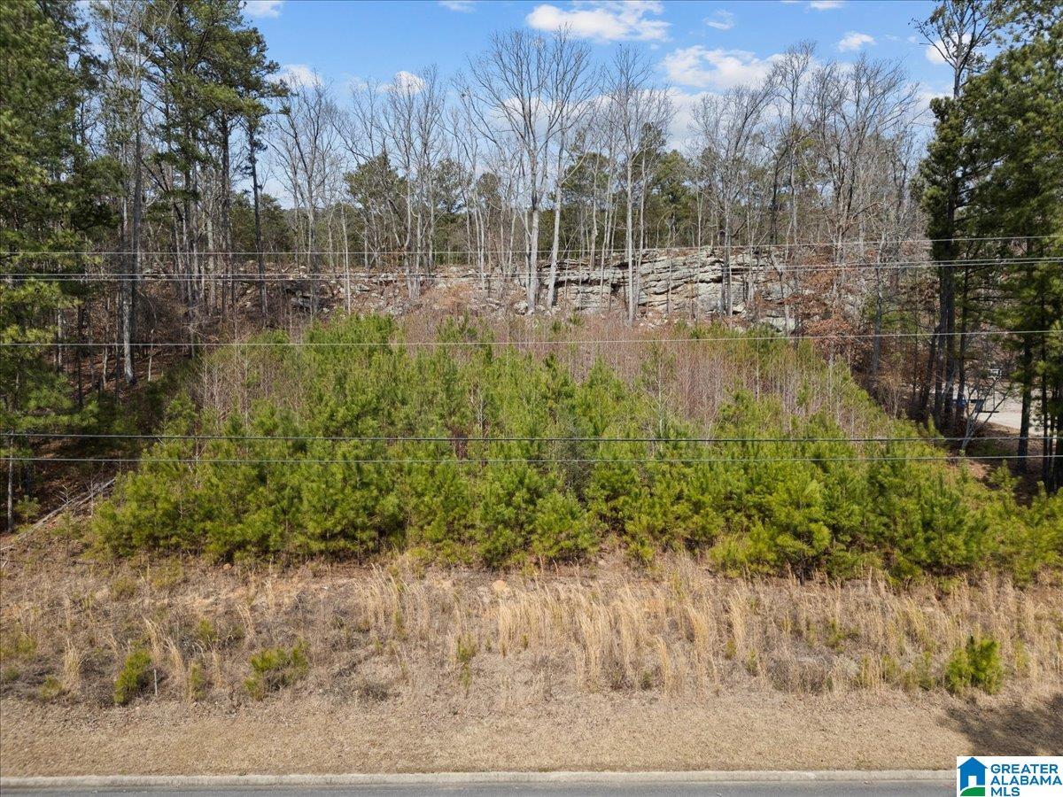0 Heritage Road, Unit 1 Oneonta, AL 35121 - Photo 3 of 3