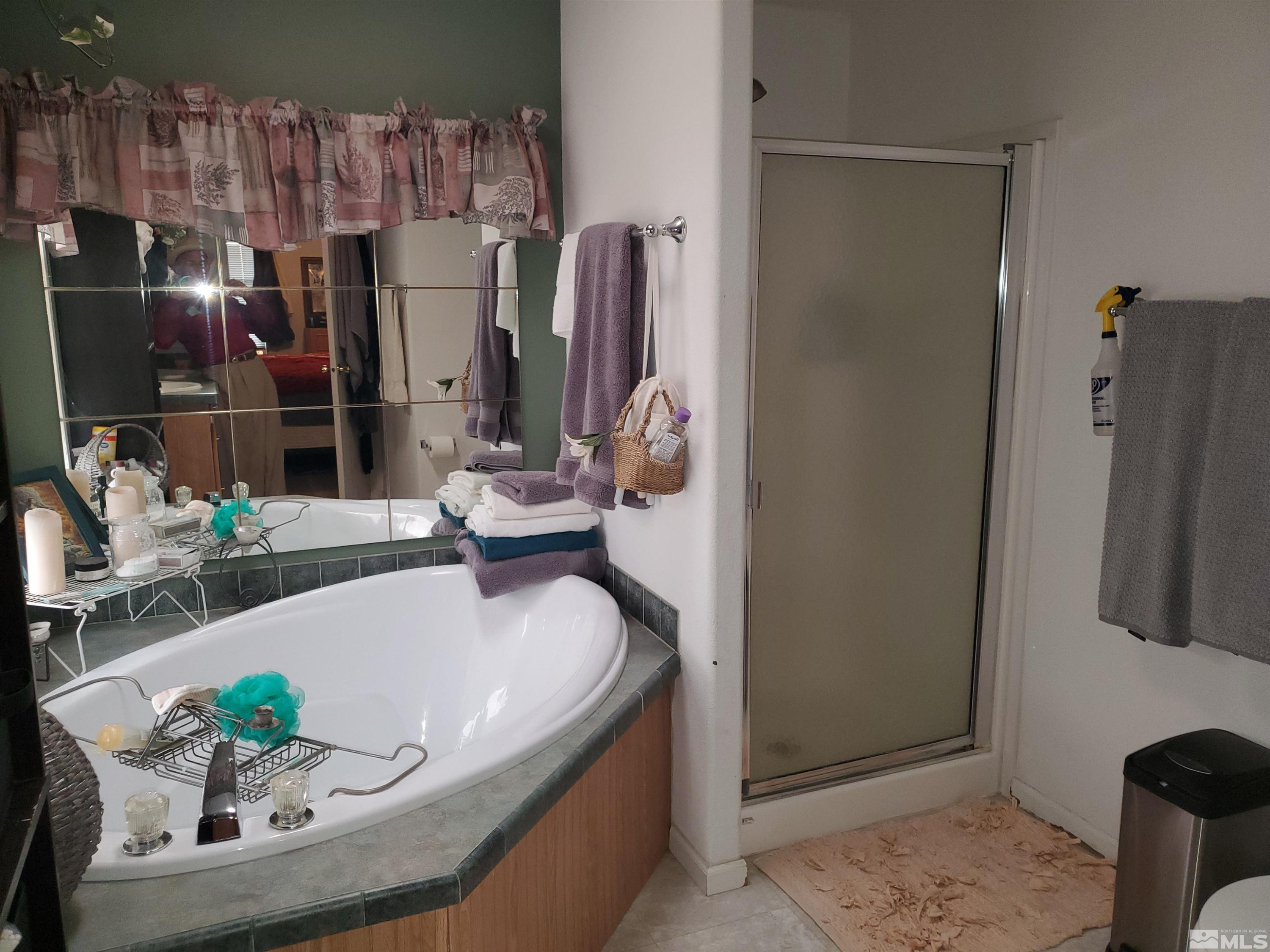 350 Prospector Road Dayton, NV 89403 - Photo 9 of 30 Photo 9