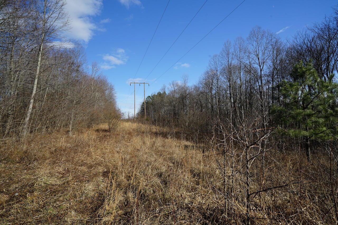 0 Two Mile Road New Plymouth, OH 45654 - Photo 15 of 45